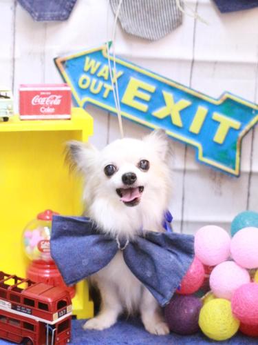 20230429ココアくん